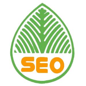 镇江提升网站移动适配的注意事项